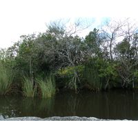 florida-2013-016