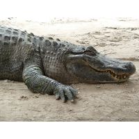florida-2013-018