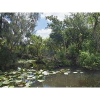 florida-2013-033