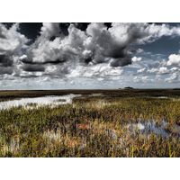 florida-2013-035