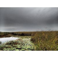 florida-2013-040