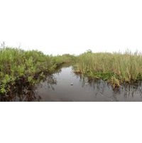 florida-2013-041