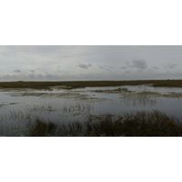 florida-2013-046