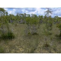 florida-2013-055