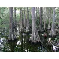 florida-2013-056