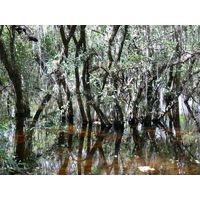 florida-2013-057