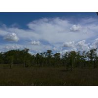 florida-2013-060