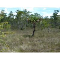 florida-2013-063