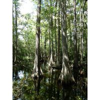 florida-2013-064