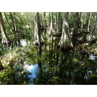 florida-2013-065