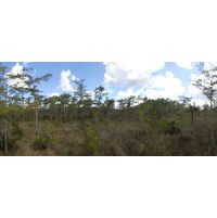 florida-2013-072