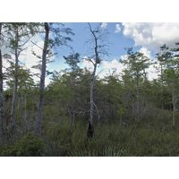 florida-2013-073
