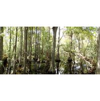 florida-2013-074