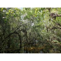 florida-2013-075