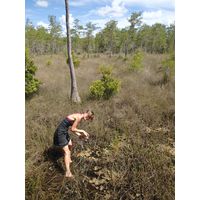florida-2013-078