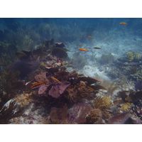 florida-2013-079