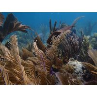 florida-2013-087