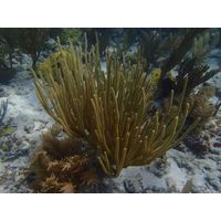 florida-2013-088