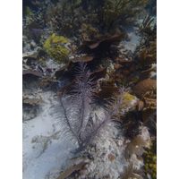 florida-2013-089