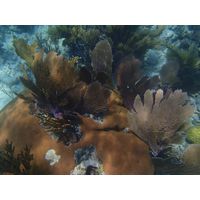 florida-2013-091