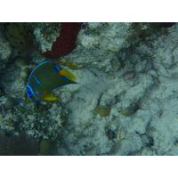 florida-2013-094