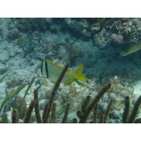 florida-2013-096