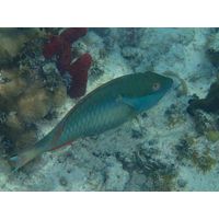 florida-2013-097