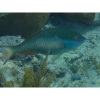 florida-2013-098