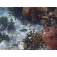florida-2013-109