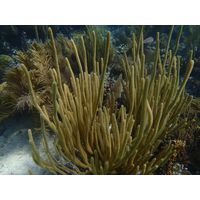 florida-2013-112