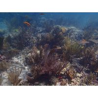 florida-2013-114