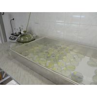 labphoto_003
