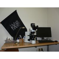 labphoto_010