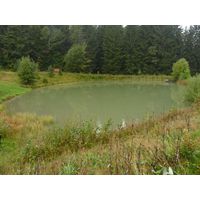 specka2013_029
