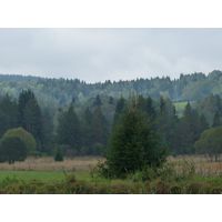 specka2013_048