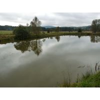 specka2013_054