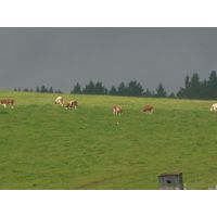specka2013_062