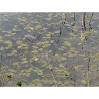 specka2013_075