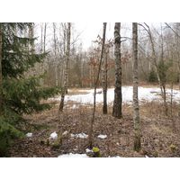 borkovice_004