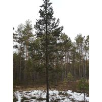 borkovice_006