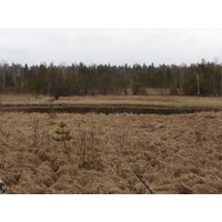 borkovice_019