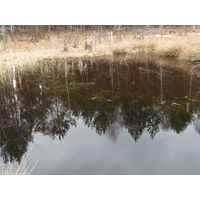 borkovice_020