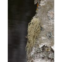 borkovice_022