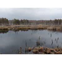 borkovice_024