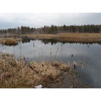 borkovice_026