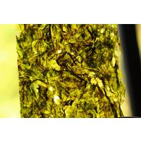 chantransia_2014_022