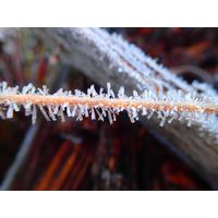 p4170056