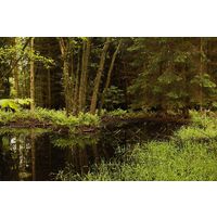 blatna011