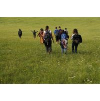 _mg_0396