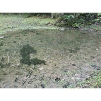 alpy2017_063c